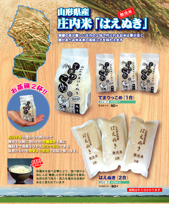 庄内米 てまりっこめ・はえぬき