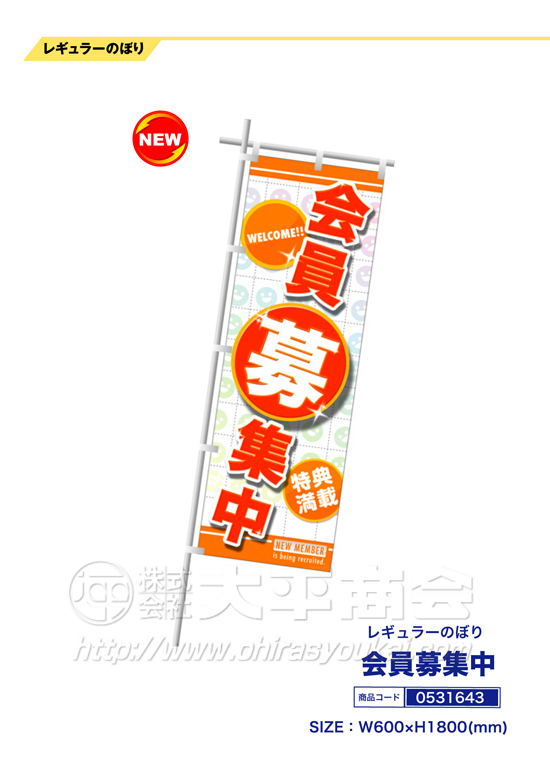 レギュラーのぼり　会員募集中